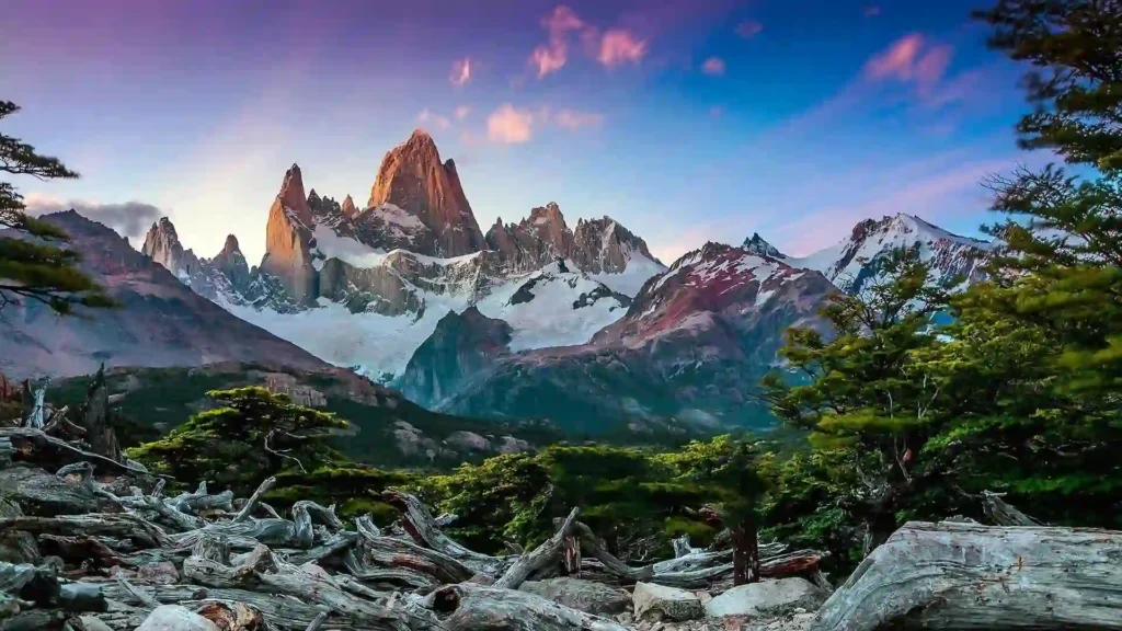 Paisaje - Thriller de conspiración en la Patagonia
