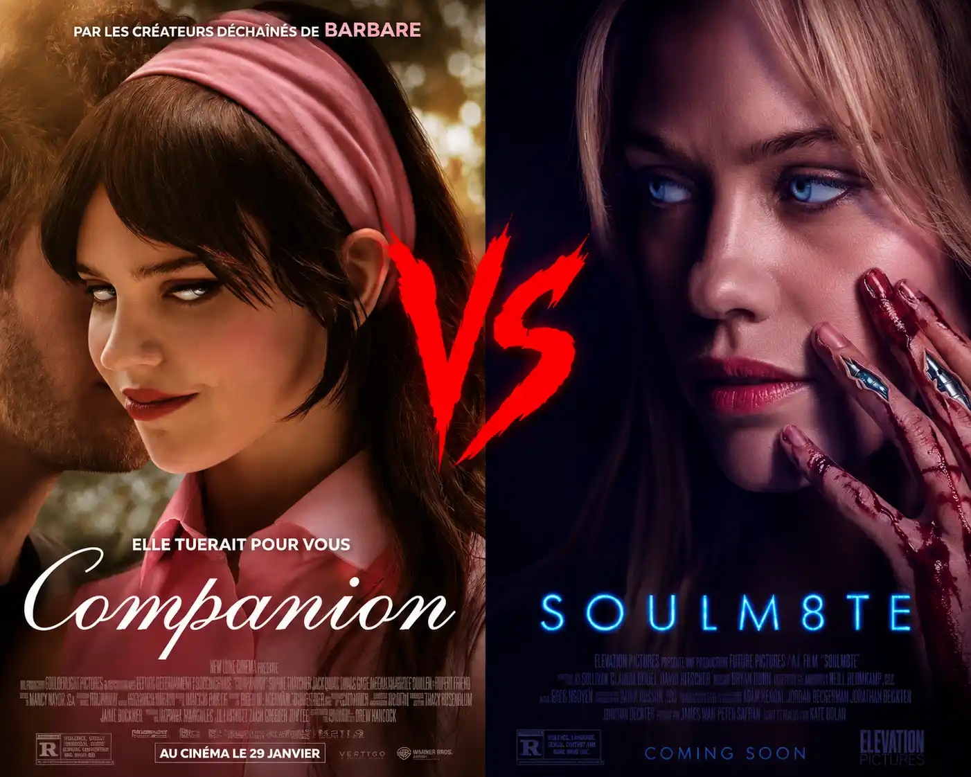 companion vs soulm8te